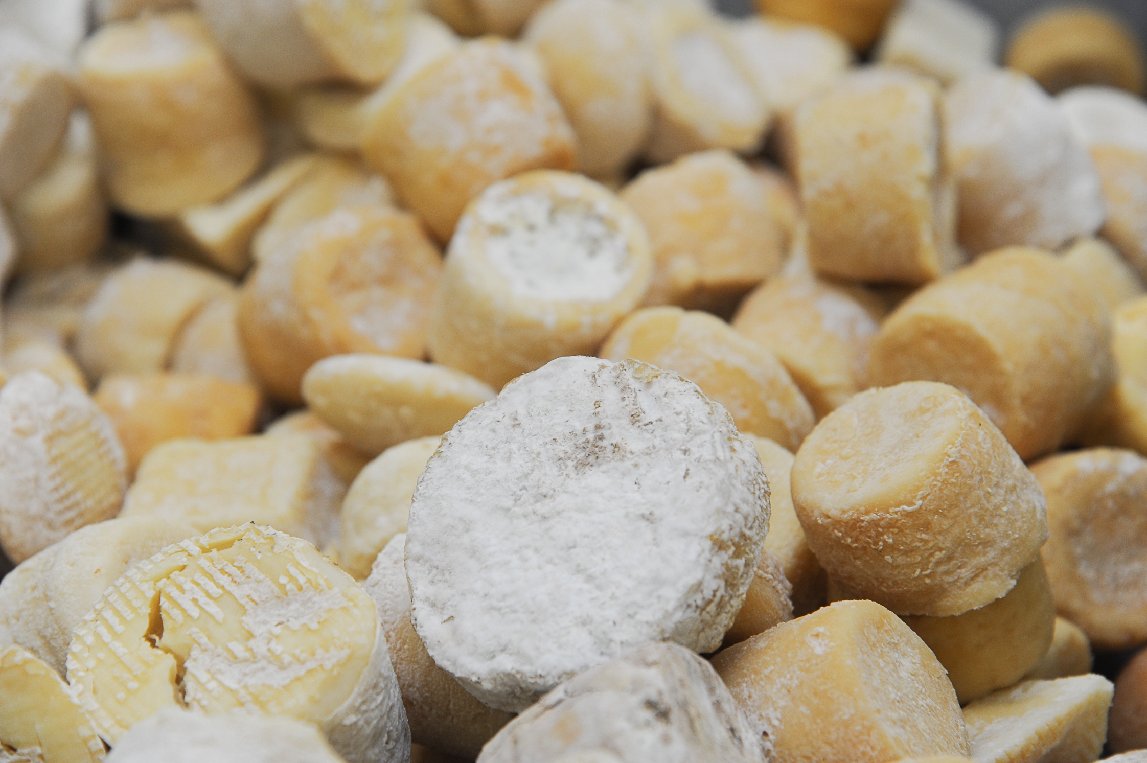 Chevrerie des terres chaudes - Dufour - Station fermiere Autun 71400 -4