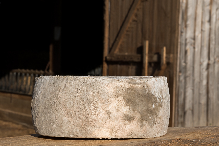 Chevrerie des terres chaudes - Dufour - Station fermiere Autun 71400 - 7