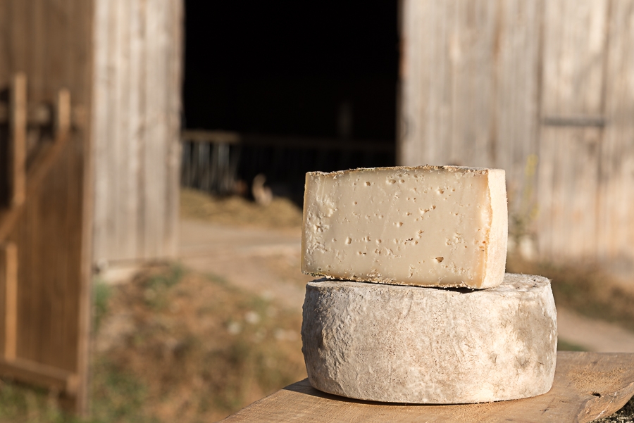 Chevrerie des terres chaudes - Dufour - Station fermiere Autun 71400 -8